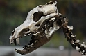 Kids_PNaSMuseum-2013 (11)